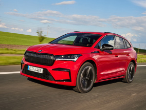 2021��Sportline ���w���^