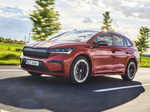 2021��Sportline ���w���^