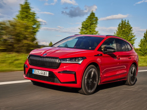 2021��Sportline ���w���^