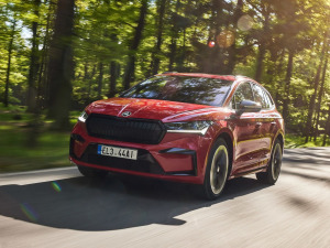 2021��Sportline ���w���^