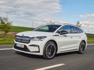 2021��Sportline ���w���^