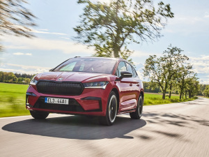 2021��Sportline ���w���^