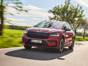 2021��Sportline ���w���^