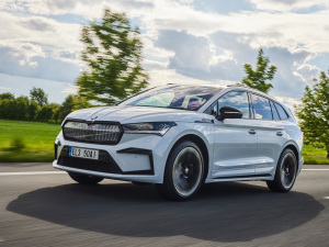 2021��Sportline ���w���^