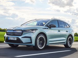 2021��Sportline ���w���^