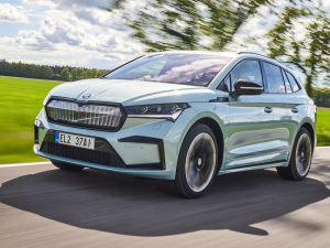 2021��Sportline ���w���^