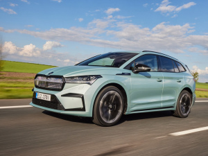 2021��Sportline ���w���^
