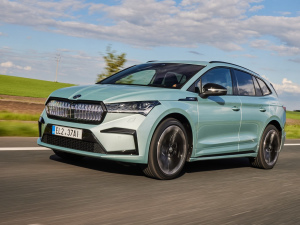 2021��Sportline ���w���^