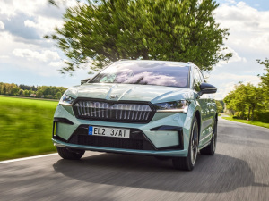 2021��Sportline ���w���^