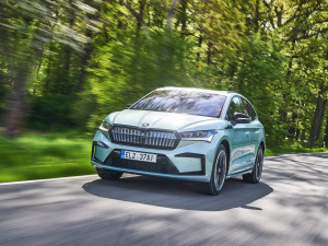 2021��Sportline ���w���^