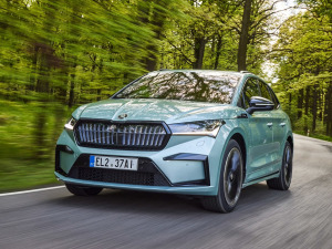 2021��Sportline ���w���^
