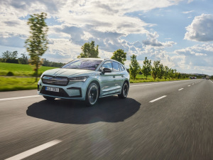 2021��Sportline ���w���^