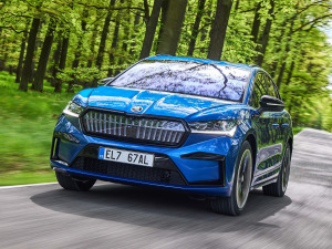 2021��Sportline ���w���^