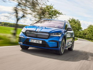 2021��Sportline ���w���^
