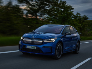 2021��Sportline ���w���^
