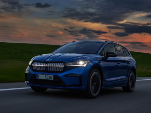 2021��Sportline ���w���^