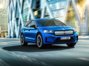 2021��Sportline ���w���^