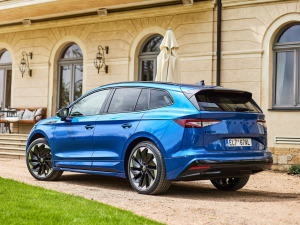 2021��Sportline ���w���^