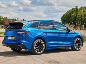 2021��Sportline ���w���^
