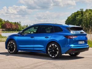 2021��Sportline ���w���^