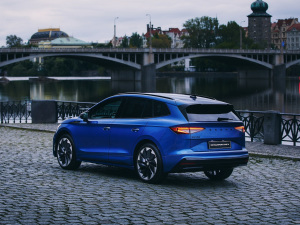 2021��Sportline ���w���^