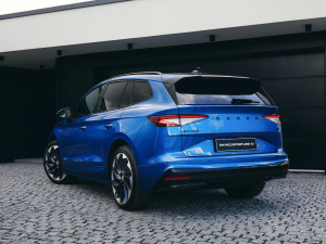 2021��Sportline ���w���^