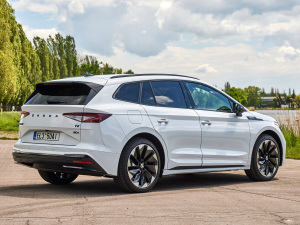 2021��Sportline ���w���^