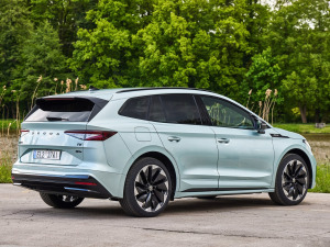 2021��Sportline ���w���^