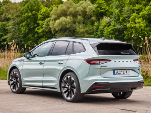 2021��Sportline ���w���^