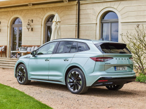 2021��Sportline ���w���^