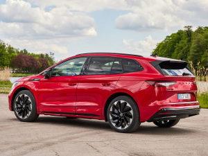 2021��Sportline ���w���^