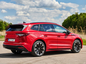 2021��Sportline ���w���^