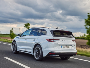 2021��Sportline ���w���^