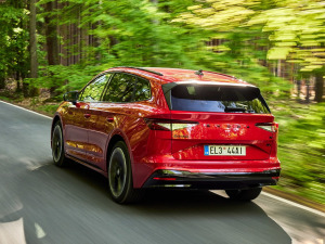 2021��Sportline ���w���^