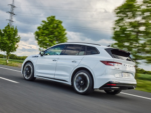 2021��Sportline ���w���^