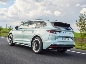 2021��Sportline ���w���^