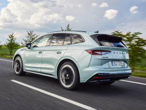 2021��Sportline ���w���^