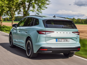 2021��Sportline ���w���^