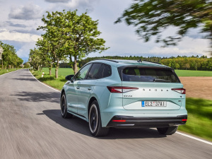 2021��Sportline ���w���^