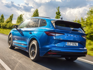 2021��Sportline ���w���^
