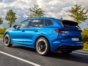 2021��Sportline ���w���^