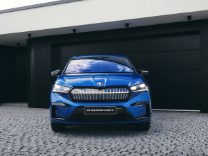 2021��Sportline ���w���^