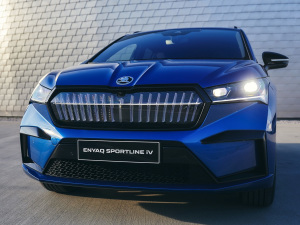 2021��Sportline ���w���^