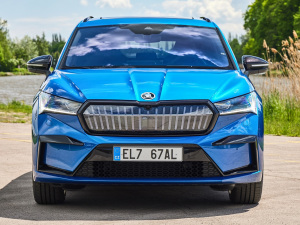 2021��Sportline ���w���^