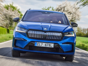 2021��Sportline ���w���^