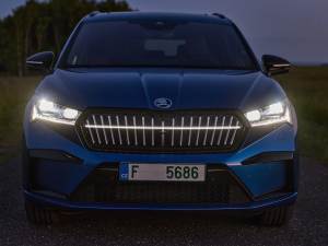 2021��Sportline ���w���^