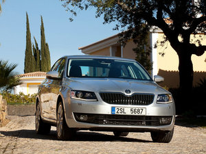 2013������� ���w���^