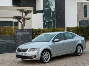 2013������� ���w���^