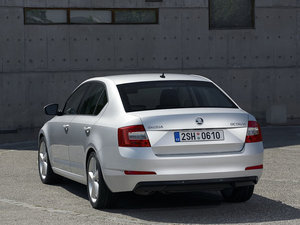 2013������� ���w���^