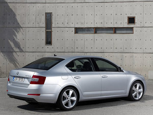 2013������� ���w���^